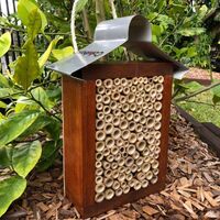 ABeeC Hives Stained Solitary Native Bee Hotel Australian Ladybird and Insect House All Bamboo Large