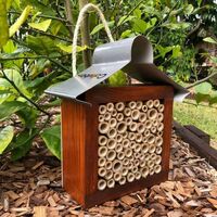 ABeeC Hives Stained Timber Solitary Native Bee Hotel Australian Ladybird and Insect House All Bamboo Small