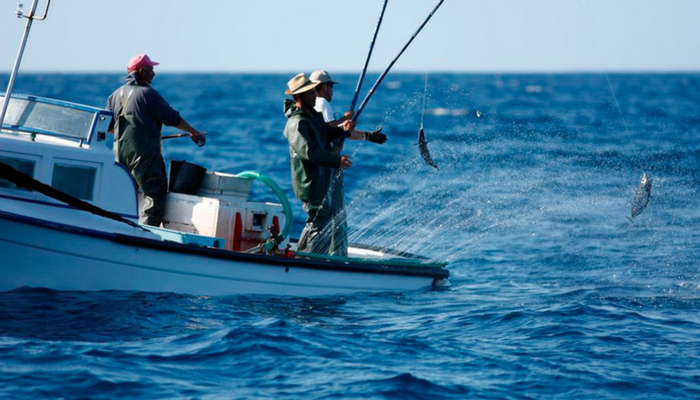 Sustainable Fishing and Tuna with Fish4Ever Boats