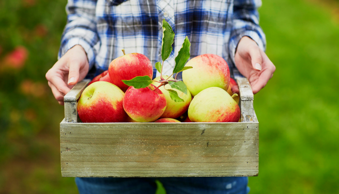 Organic farming means healthier soils