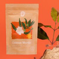 Melbourne Bushfood Lemon Myrtle Spice 20g