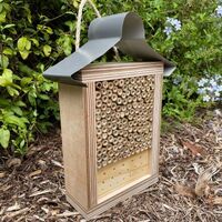 ABeeC Hives Bare Timber Solitary Native Bee Hotel Australian Ladybird and Insect House Mixed Large