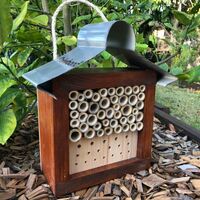 ABeeC Hives Stained Solitary Native Bee Hotel Australian Ladybird and Insect House Mixed Small