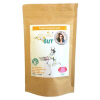 Supercharged Food Golden Gut Blend 100g