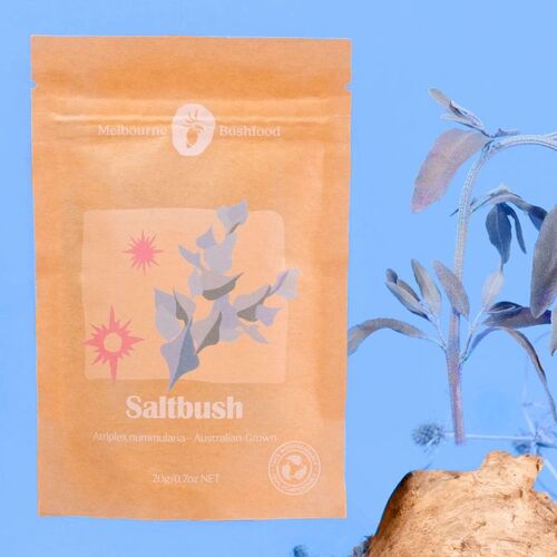 Melbourne Bushfood Saltbush Spice 20g
