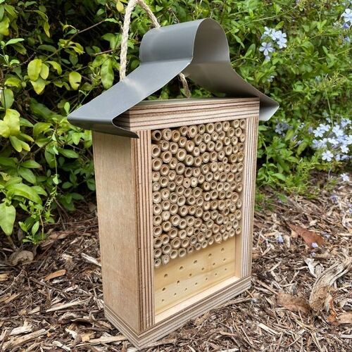ABeeC Hives Bare Timber Solitary Native Bee Hotel Australian Ladybird and Insect House Mixed Large